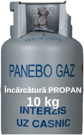 Ambalaj + Încărcătura PROPAN 10kg – butelie gri